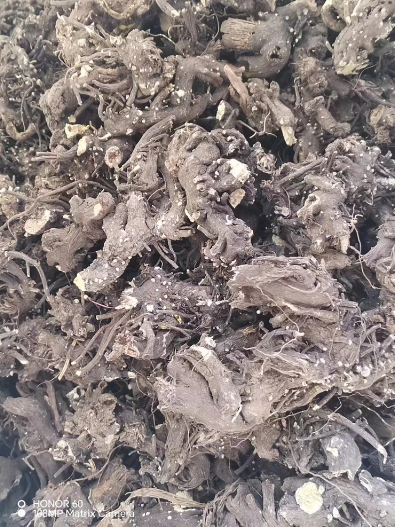 陇南升麻产地一手货源专业团队按需配货甘肃药材升麻