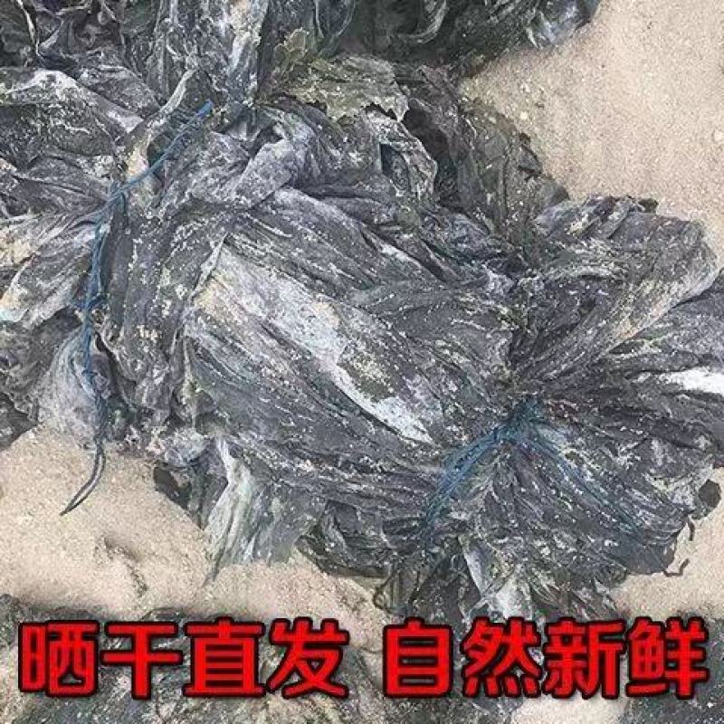 干海带海带丝海带结绿色海带烘干海带自家养殖场各种等级海带