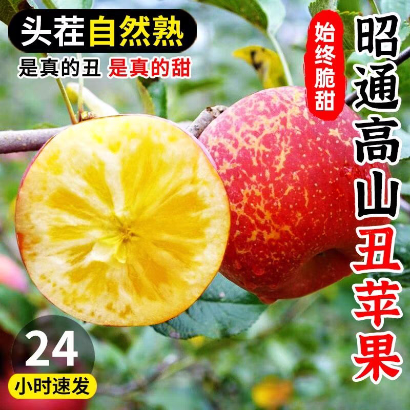 《苹果》昭通丑苹果/农户种植/一件代发/供应市场电商