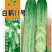 黄瓜种子白鹤11号高品质无苦味早熟抗病强雌节节有瓜