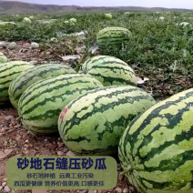 硒砂瓜石头瓜大量上市个大味美价格美丽产地直发