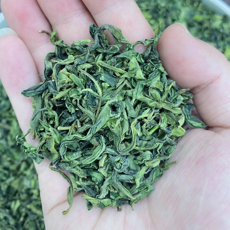 日照绿茶2025茶叶高山云雾炒青浓香型餐饮饭店商用茶批发
