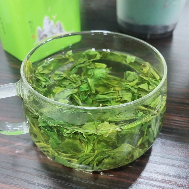 日照绿茶2025茶叶高山云雾炒青浓香型餐饮饭店商用茶批发
