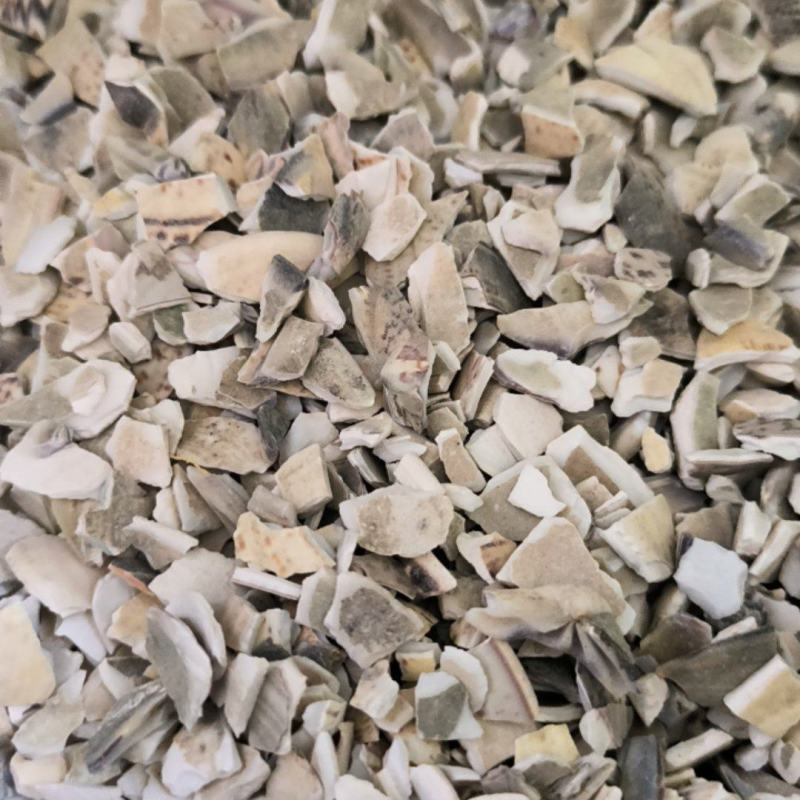 海哈壳中药材批发海哈壳质量保证量大从优