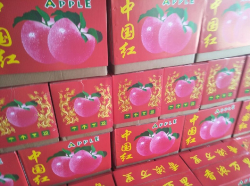 《苹果》云南苹果昭通冰糖心红富士苹果/产地批发/一件代发