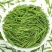 白茶安吉2024新茶茶叶高山绿茶春茶正宗白茶批发
