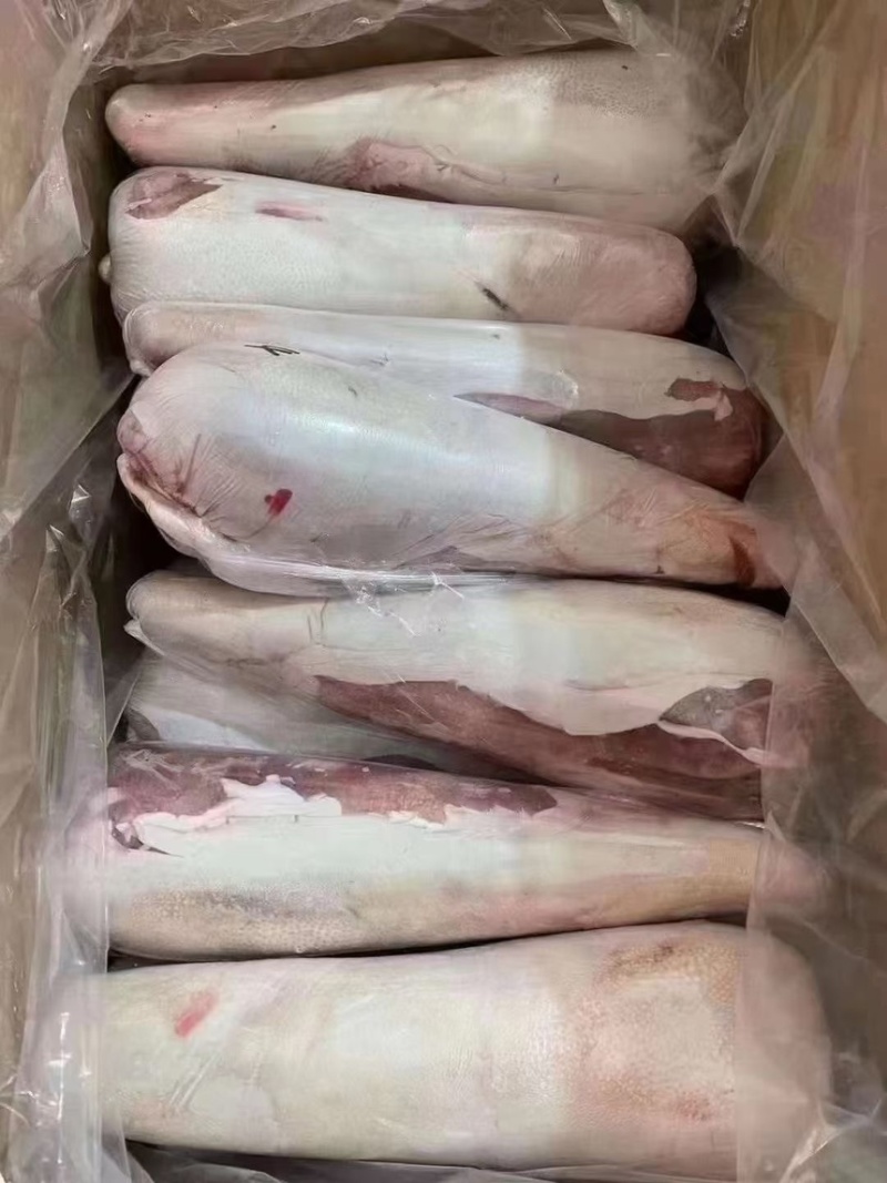 纯干牛舌