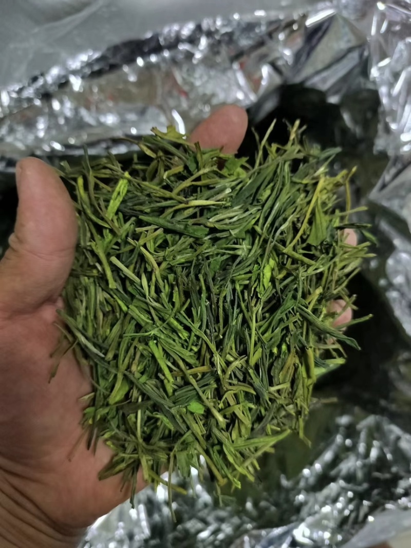 白茶安吉2024新茶茶叶高山绿茶春茶正宗白茶批发