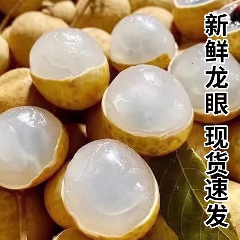 云南高山龙眼支持一件代发