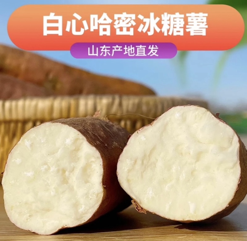 哈密冰糖薯产地直发品质保障按需做货全年供应支持代发