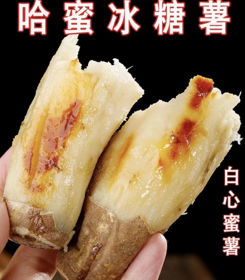 哈密冰糖薯产地直发品质保障按需做货全年供应支持代发