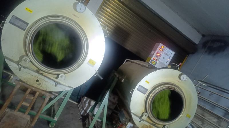 莓茶干货