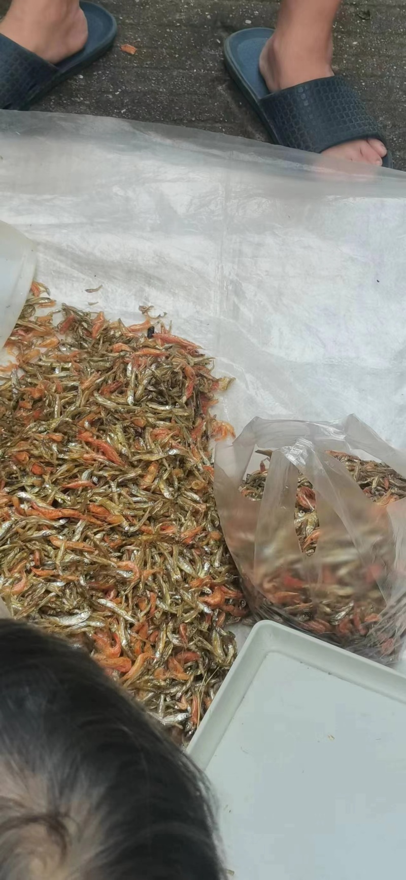 油炸乡下小鱼小虾
