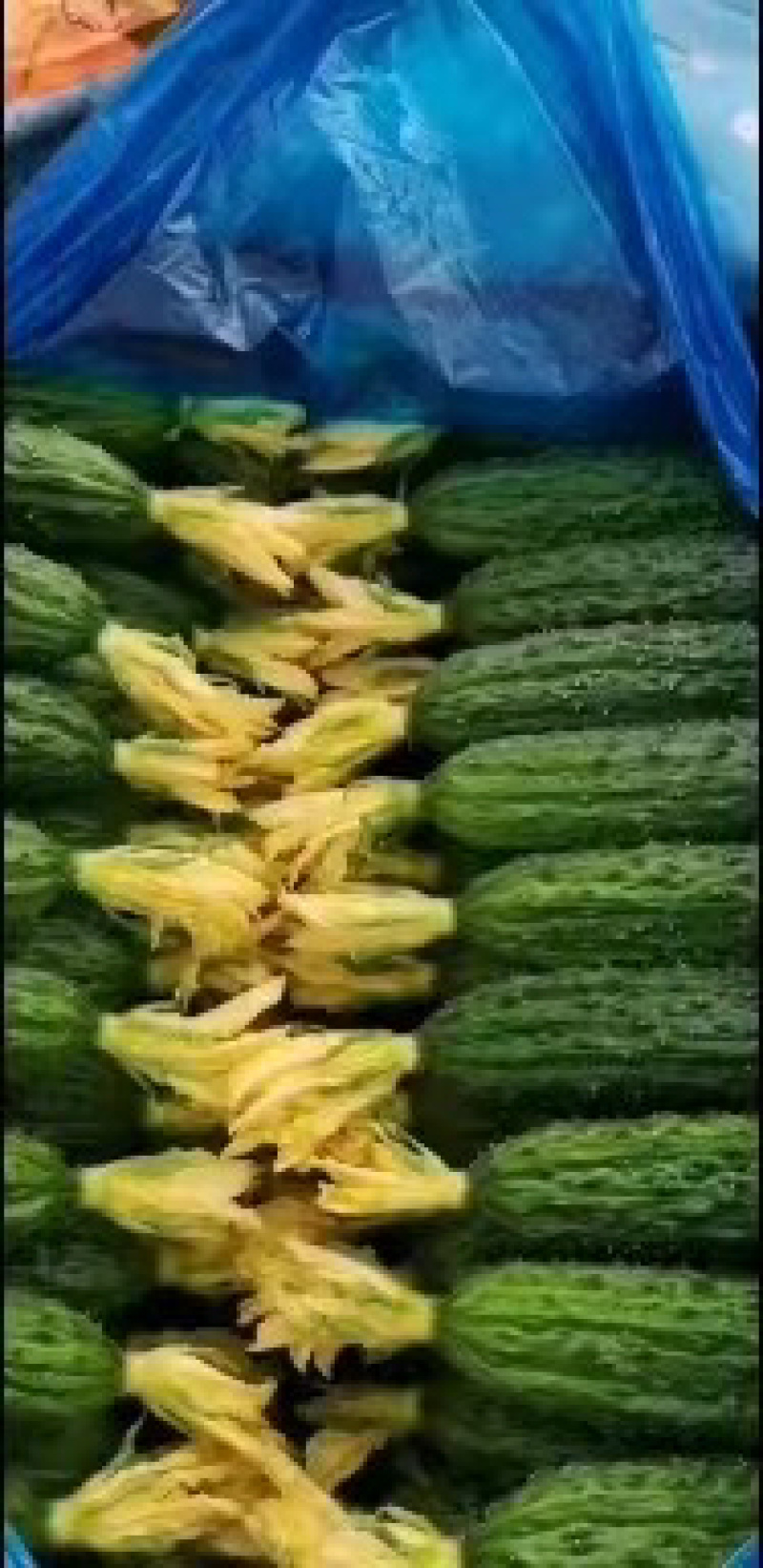【店长推荐】山东精品密刺黄瓜，产地直发，对接各级批发商