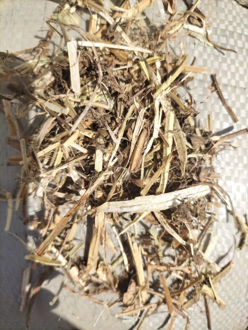 河南正阳精品花生秧草，产地直发，保质保量，欢迎来电
