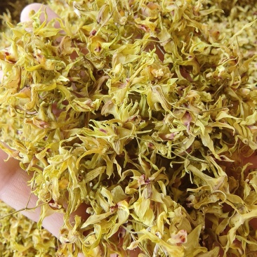 铁皮石斛干花基地直发品质保证量大从优一手货源全国发货
