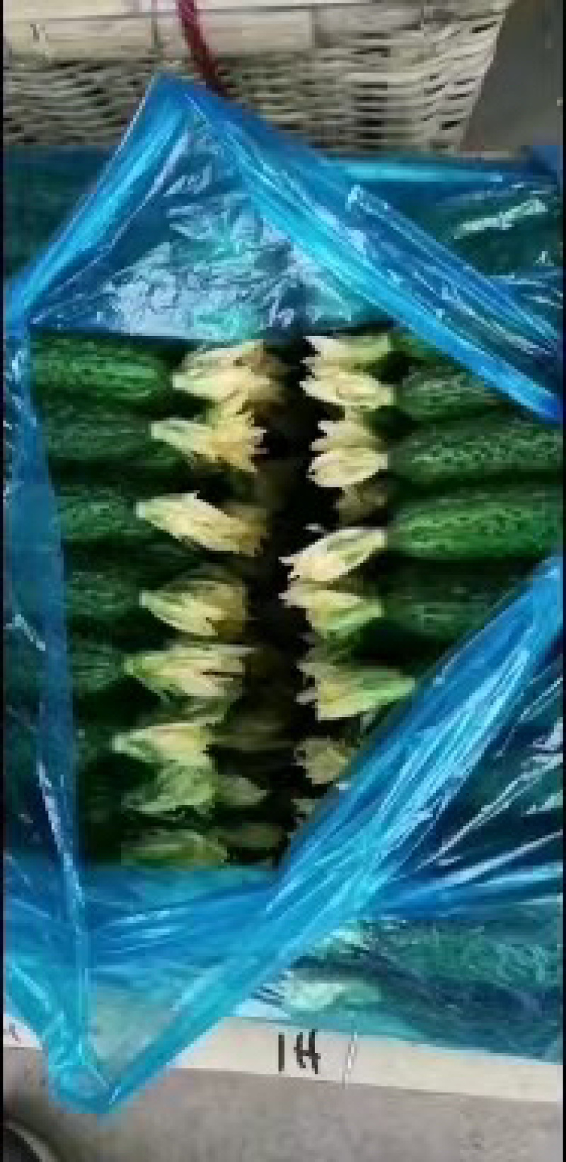 【优选】密刺黄瓜，山东济南黄瓜，质量优可视频，欢迎来电