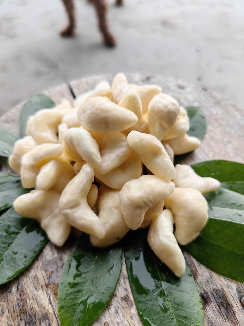 精品菱角米大量供应批发，长期合作供货欢迎咨询联系