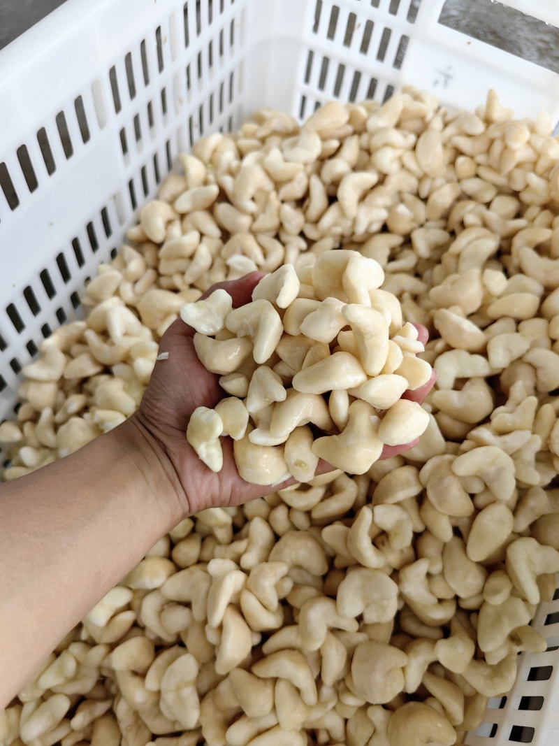 精品菱角米大量供应批发，长期合作供货欢迎咨询联系