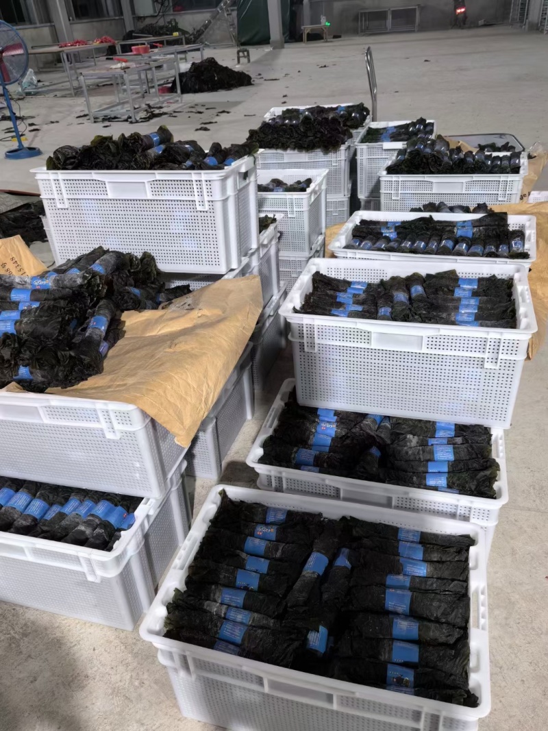 优质无沙长条板菜干海带卷厚实海带皮干货食堂电商超市直销