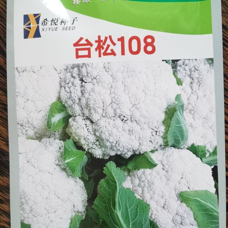 花菜种子台松108台湾资源