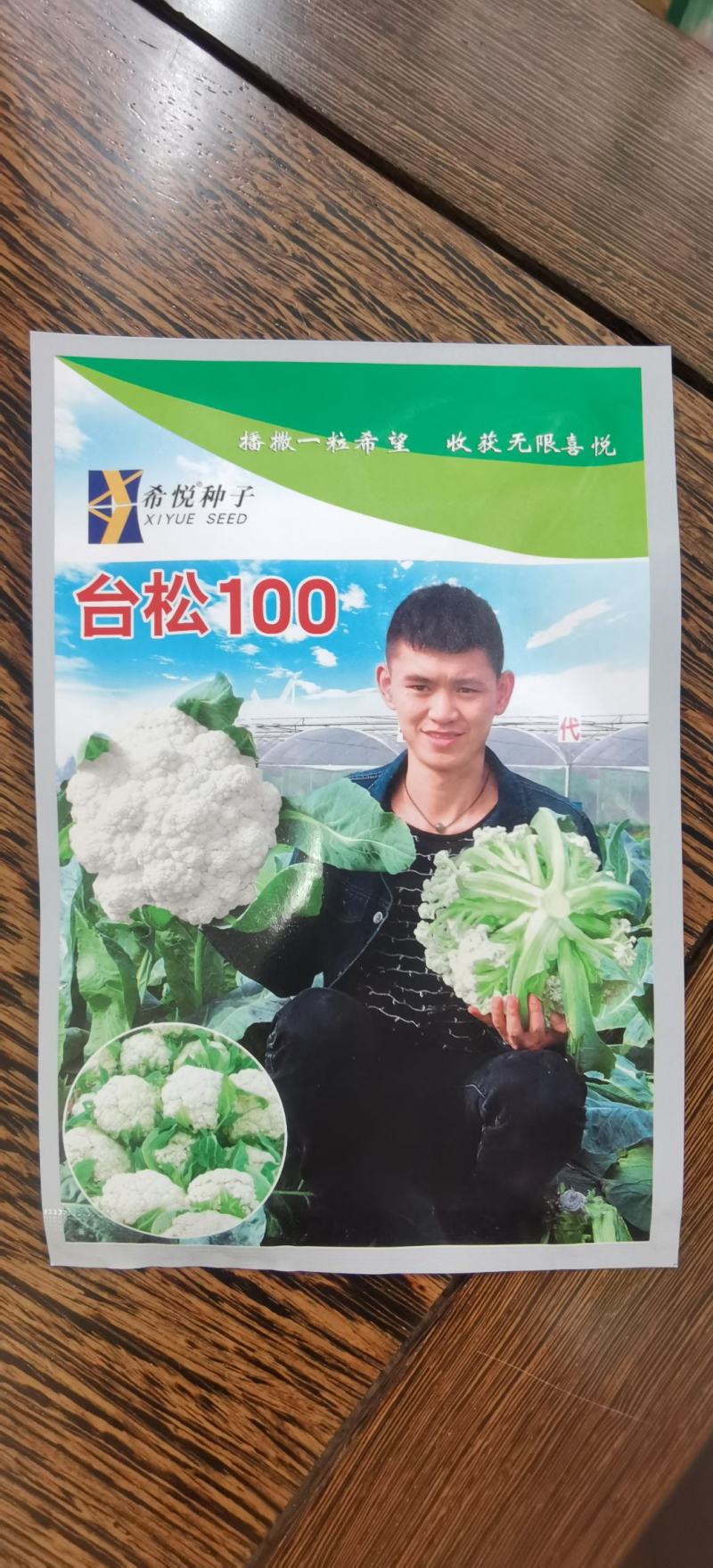 花菜种子台松108台湾资源