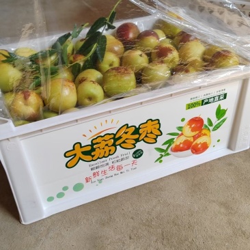冬枣大量有货