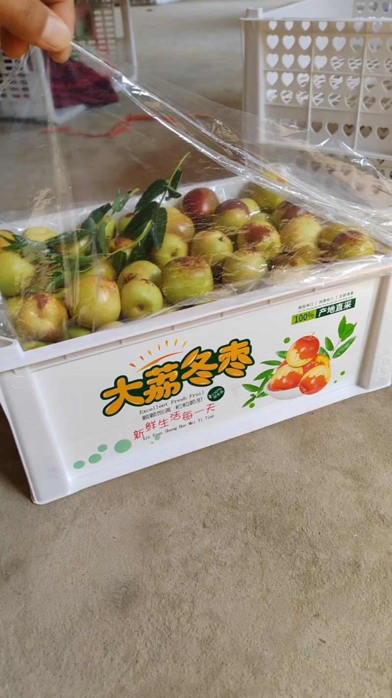 冬枣大量有货