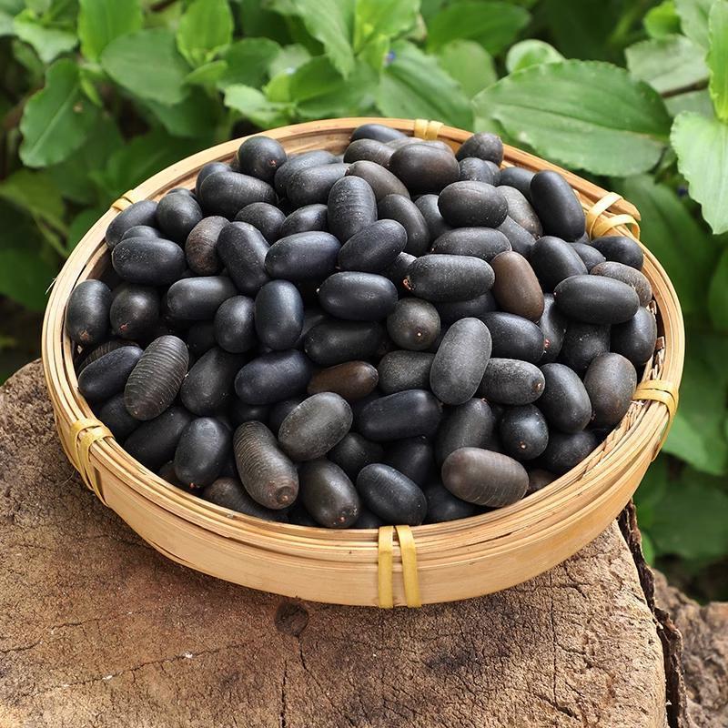 广西野生双肾子精品好货包邮代发特产泡酒料