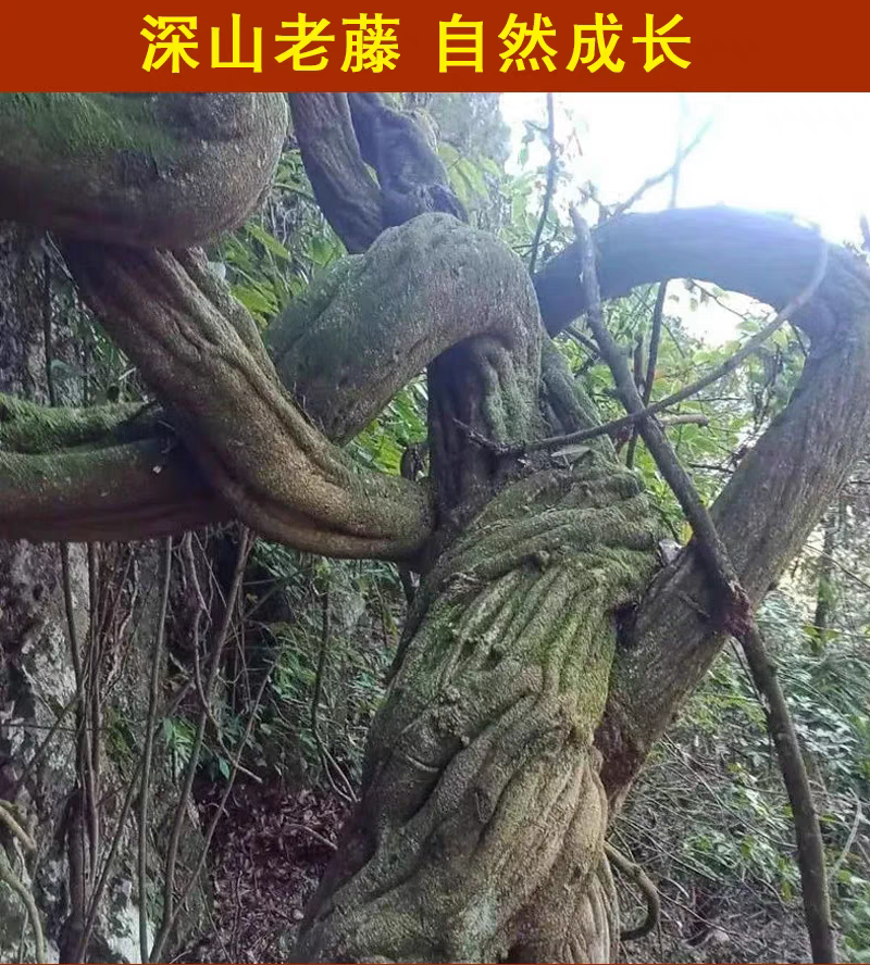 50年野生鸡血藤深山好货一片顶多片百年老藤圈多一件代发包