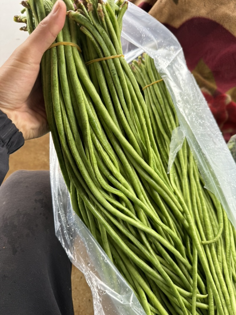 精品）细条豇豆精品长豆角泡豆货源稳定欢迎来电