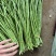 精品）细条豇豆精品长豆角泡豆货源稳定欢迎来电