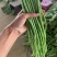精品）细条豇豆精品长豆角泡豆货源稳定欢迎来电