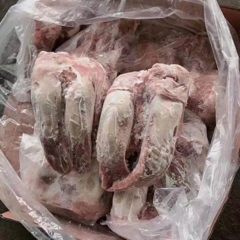 口条
