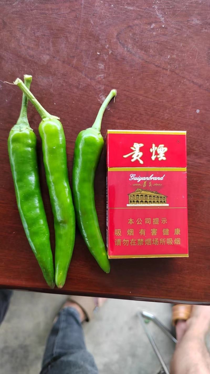 辣椒