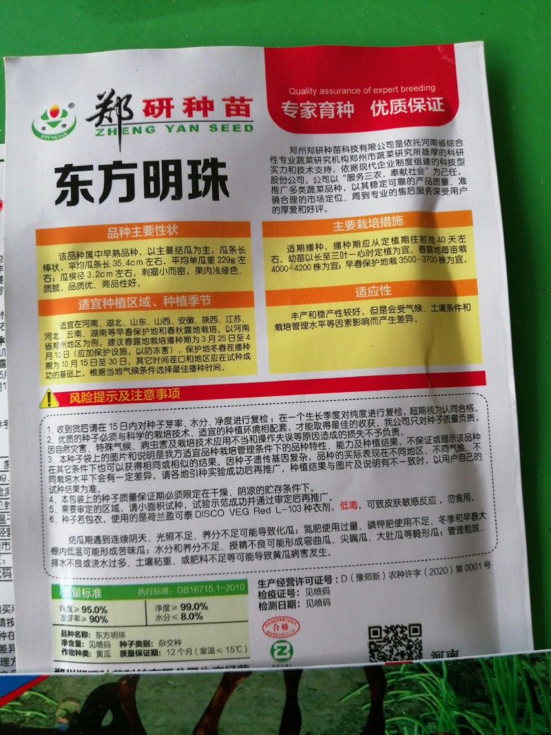 黄瓜种子，耐湿耐热抗病，抗高温，35度正常结瓜。