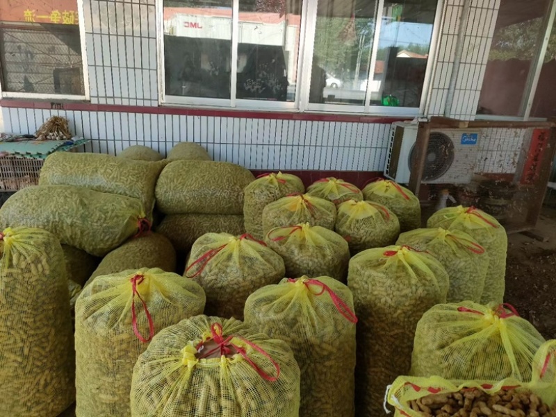 五莲鲜花生四粒红