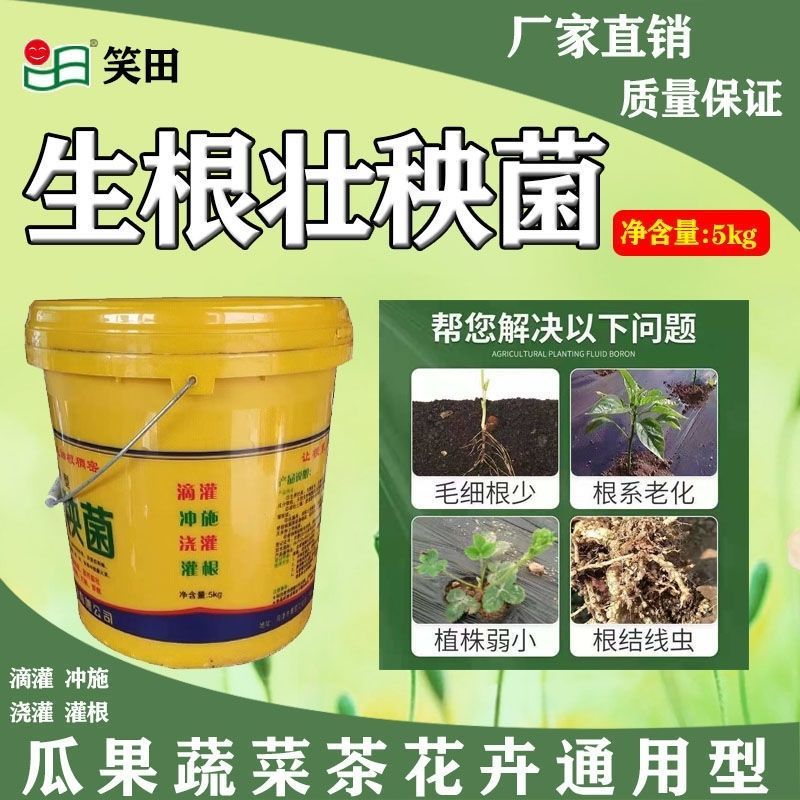 生根壮秧菌，主根发达，新根多，毛细根稠密，抗重茬。