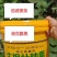 生根壮秧菌，主根发达，新根多，毛细根稠密，抗重茬。