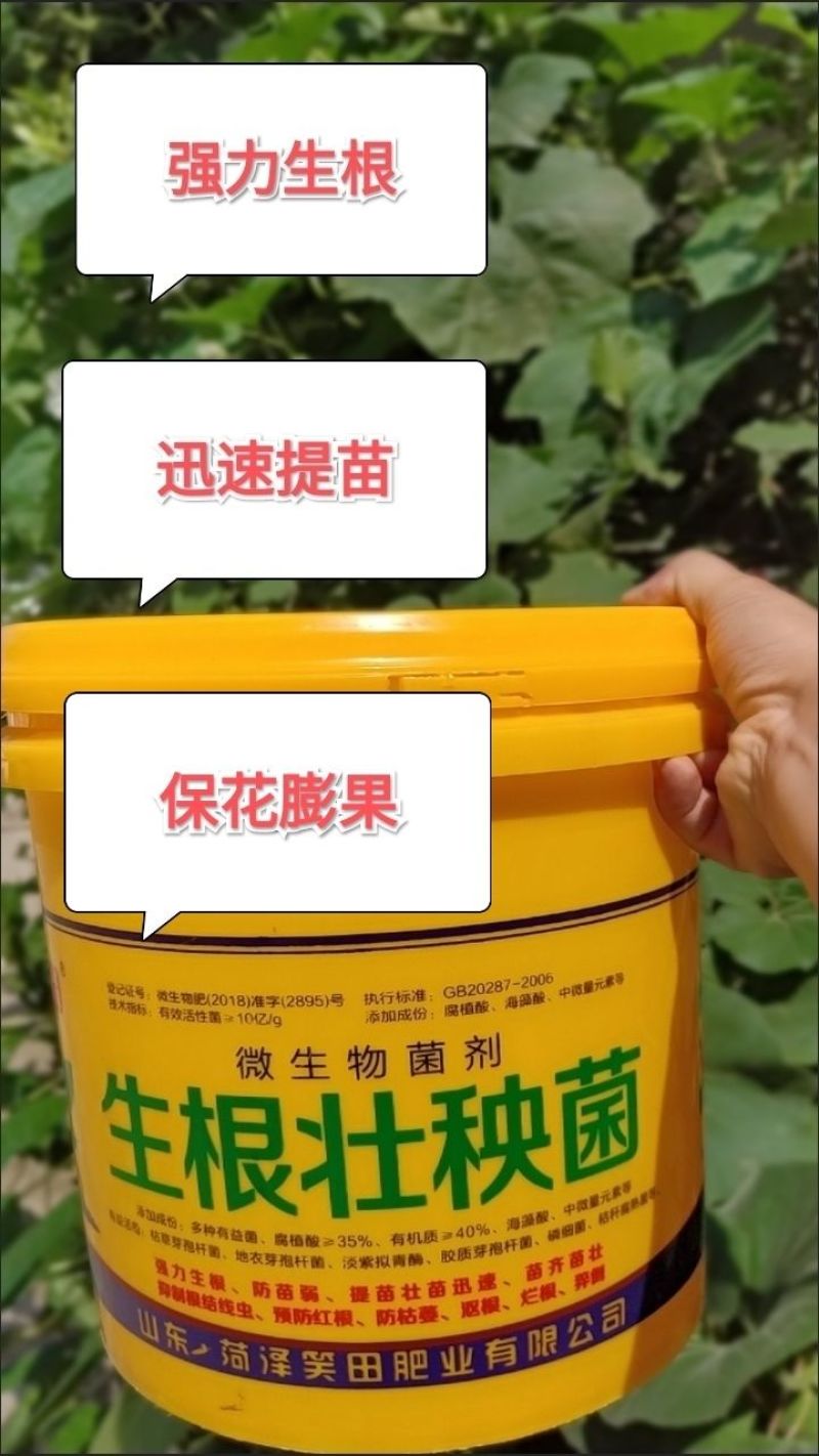 生根壮秧菌，主根发达，新根多，毛细根稠密，抗重茬。