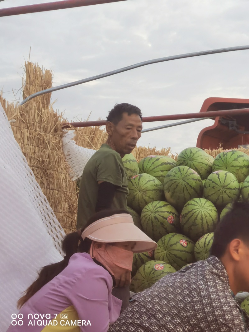 宁夏中卫市沙坡头区香山乡硒砂瓜大量有货价格便宜口感好欢迎