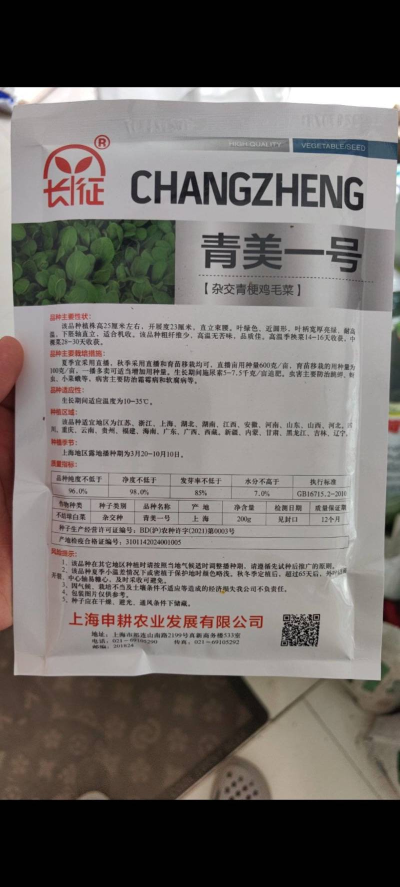 青美一号鸡毛菜种子杂交高品质青梗小白菜青菜种子耐热四季播
