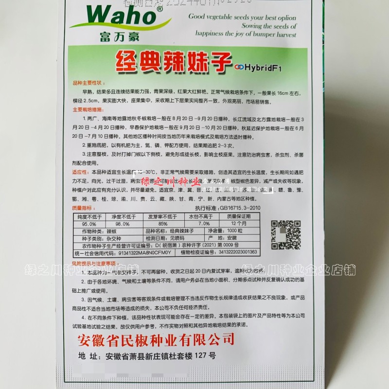 安徽大果辣妹子辣椒种子特辣浓辣型青红两用辣椒种籽节节有果