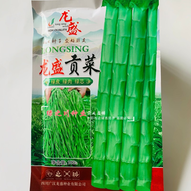 四川龙盛贡菜种子尖叶贡笋种籽云南莴笋种子脆嫩绿皮绿肉耐寒