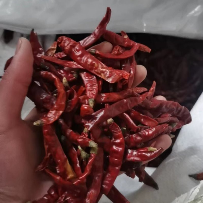 辣椒段无籽断微辣三樱椒切断印度魔鬼辣切断含盐
