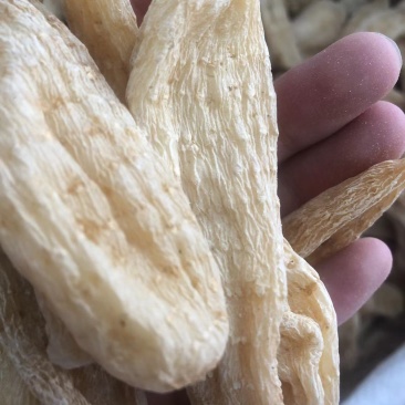 湖北天麻昭通天麻天麻片红天麻小天麻