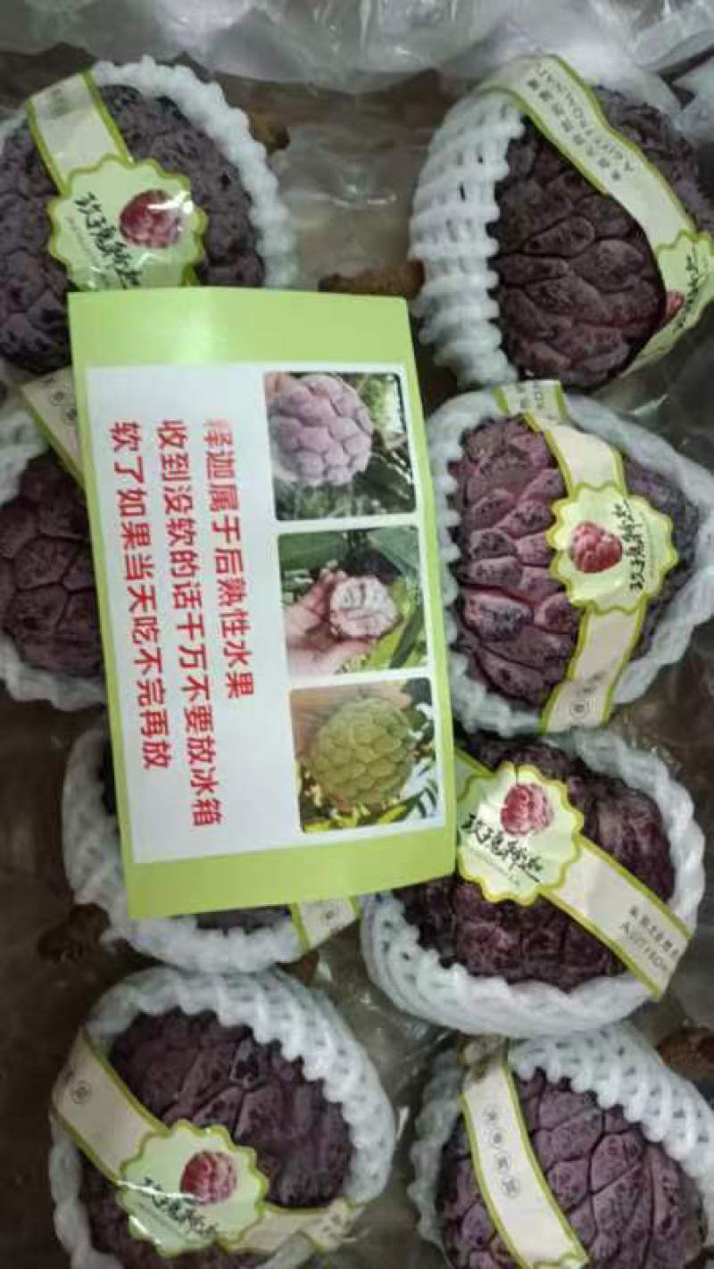 玫瑰释迦，产地一手货源，对接批发市场，社区团购
