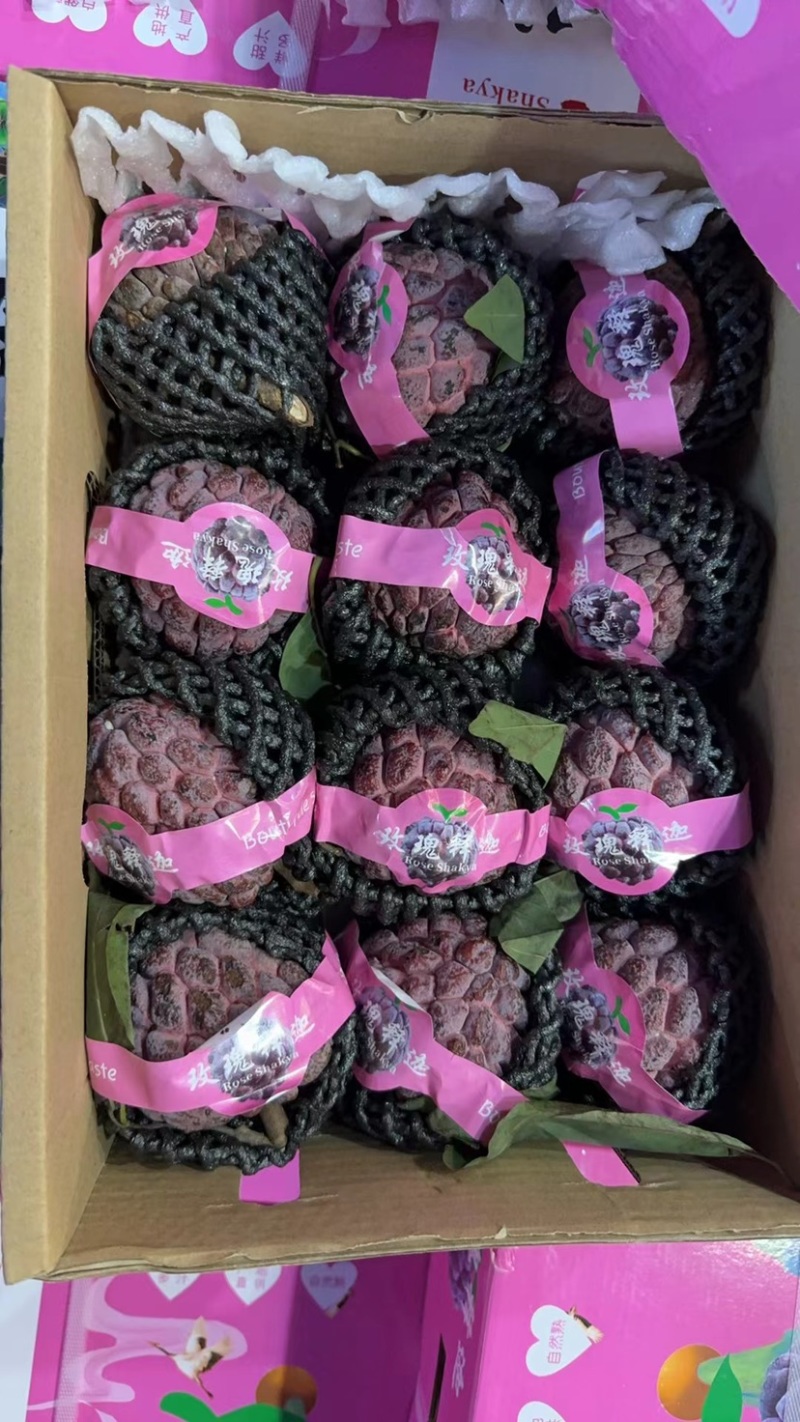 玫瑰释迦，产地一手货源，对接批发市场，社区团购