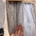 灯光船冻6-9刀鱼