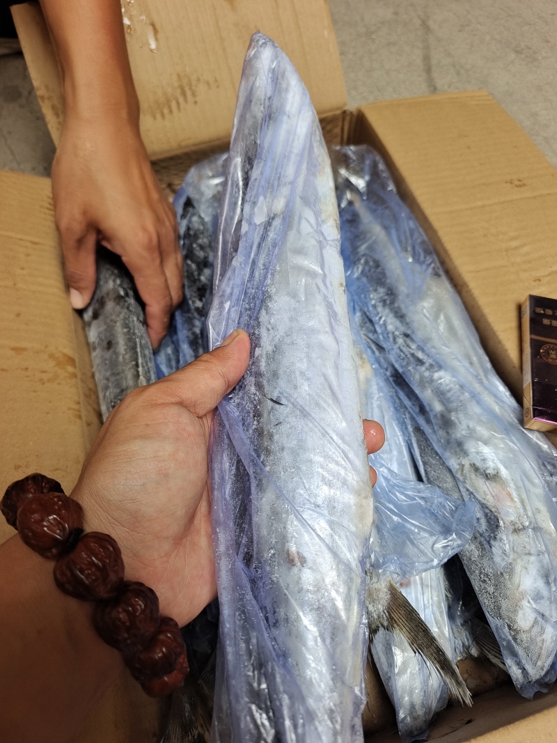 陆冻1-1.5鲅鱼
